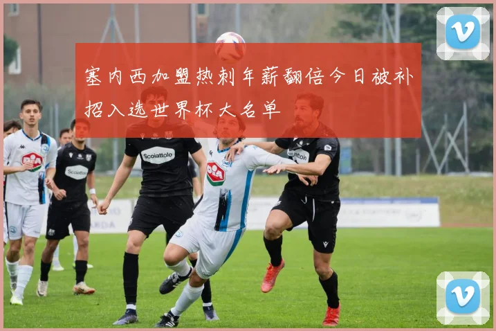 塞内西加盟热刺年薪翻倍今日被补招入选世界杯大名单